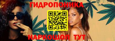 гидропоника Сланцы