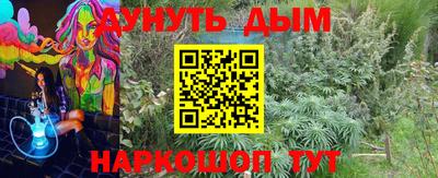 эйфоретик Славгород