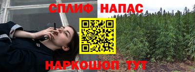 гидропоника Сланцы