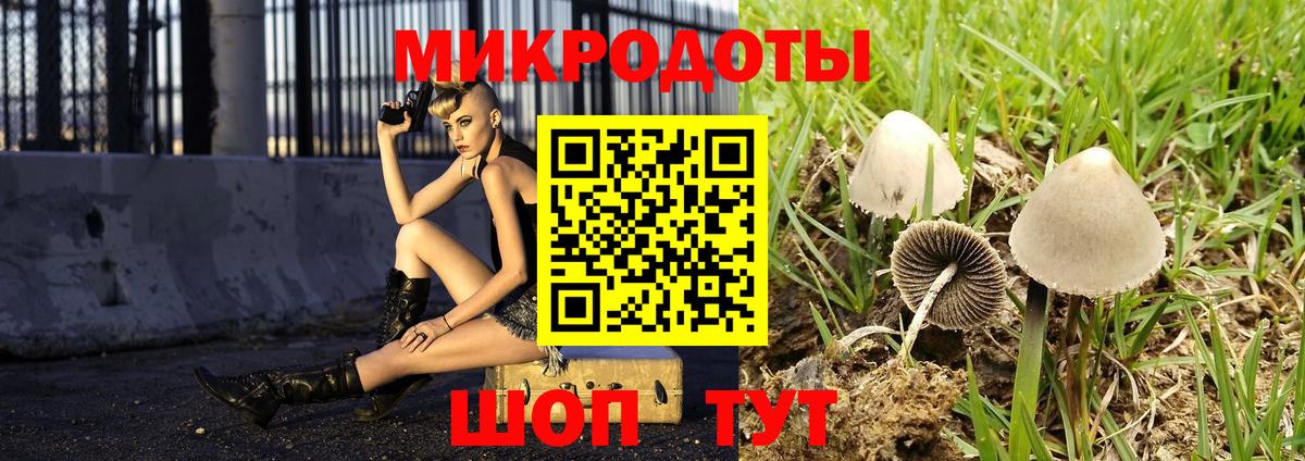 Псилоцибиновые грибы мухоморы  Вход с VPN  купить наркоту  Серпухов 