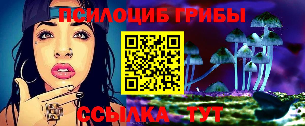 Галлюциногенные грибы Psilocybine cubensis Серпухов